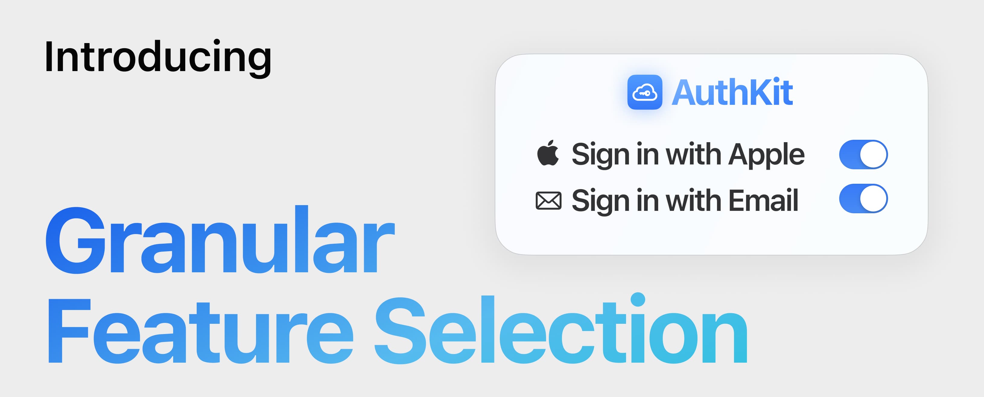 Granular Feature Selection